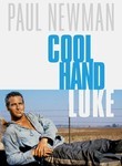 Watch Cool Hand Luke Online