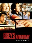 Watch Grey's Anatomy: Season 5: "now Or Never" Online